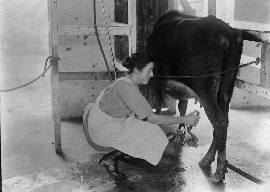#2. Dairy farm, farm, and stock farm laborers